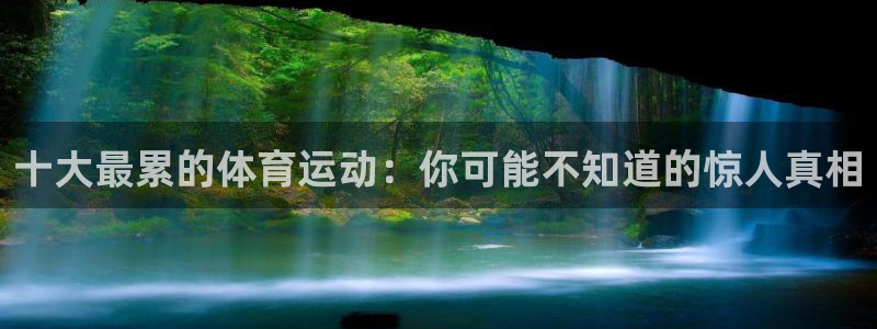 风速体育直播