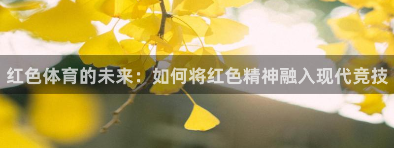 风速体育直播